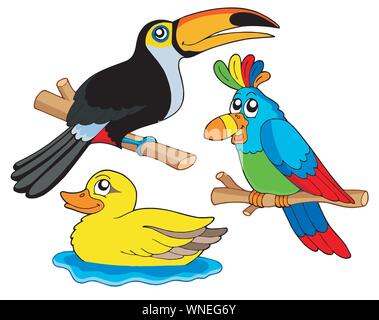 Divers oiseaux collection 01 Illustration de Vecteur