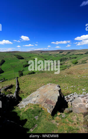 Vue d'été par Nidderdale ANOB, North Yorkshire, Angleterre. Banque D'Images