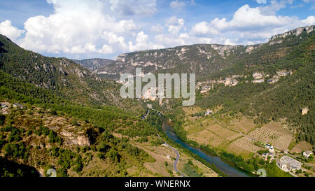 Vue aérienne des Gorges du Tarn en Lozère, Les Vignes Banque D'Images