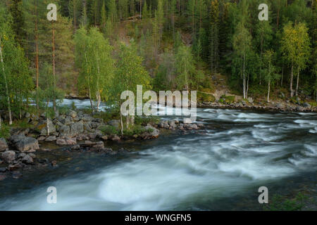 Au nord de la Russie. La Carélie. Belle grande cascade Banque D'Images