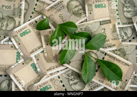 Idée Concept pour les affaires, l'argent, la croissance financière. Roupie indienne de cinq cent billets avec des feuilles vertes. Banque D'Images