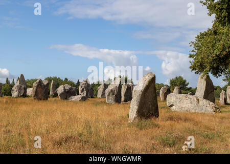 Alignements de Kermario, rangées de pierres - menhirs, Carnac, Bretagne, France Banque D'Images