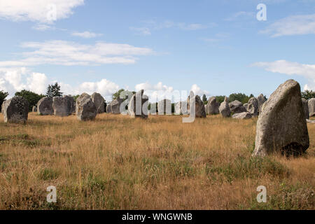 Alignements de Kermario, rangées de pierres - menhirs, Carnac, Bretagne, France Banque D'Images