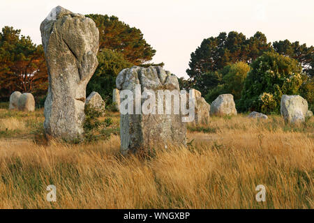 Alignements du Menec - Rangées de menhirs de Carnac, le plus grand site mégalithique du monde, Carnac, Bretagne, France Banque D'Images