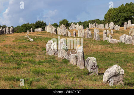 Alignements de Kermario, rangées de pierres - menhirs, le plus grand site mégalithique du monde, Carnac, Bretagne, France Banque D'Images