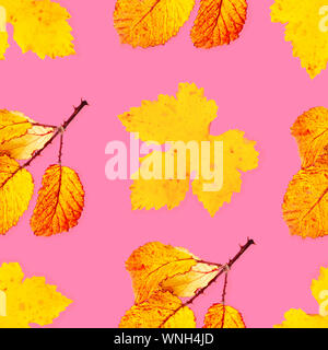 Un modèle d'automne feuilles d'automne jaune et orange sur un fond rose, une impression de répétition Banque D'Images