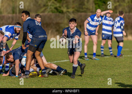 Les jeunes (âge 20-30 ans) joueur de rugby amateur demi de mêlée (numéro 9) passe par l'arrière d'un point de presse, en tant qu'acteurs. Banque D'Images