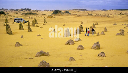 Un groupe de visiteurs errer le wasteeland de sable Les Pinnacles National Park dans l'outback de l'Australie occidentale. Banque D'Images