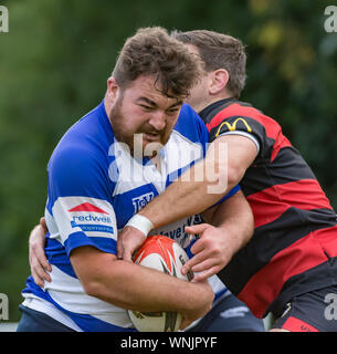 Deux joueurs de rugby masculin (âge 20-30 ans) catcher pour le ballon de rugby. Banque D'Images