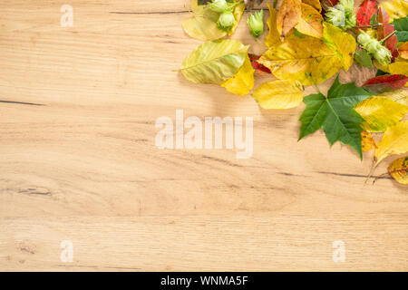 Composition d'automne. Cadre fait de l'automne les feuilles qui tombent sur fond de bois. Mise à plat, vue du dessus, copy space Banque D'Images