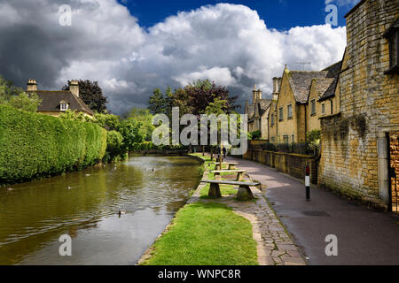 Canards sur la rivière Windrush de soleil après une tempête de pluie en Bourton-sur-le-eau Angleterre Cotswold Banque D'Images