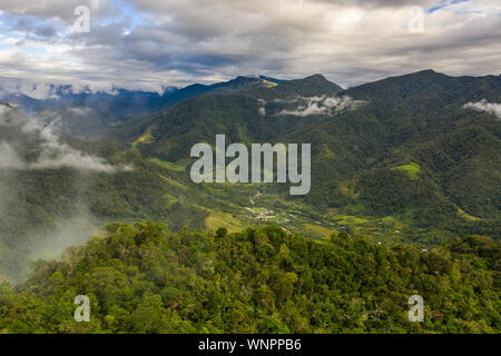 La forêt tropicale péruvienne près de Chachapoyas, Pérou. Banque D'Images