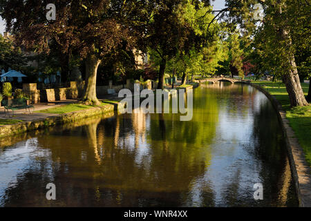 Soleil du matin sur la rivière Windrush avec arbres et dormir dans les canards Bourton-sur-le-village de l'eau dans les Cotswolds en Angleterre Banque D'Images