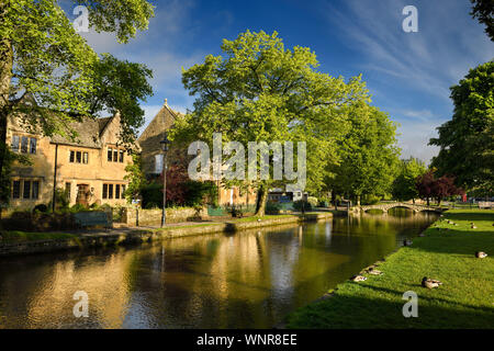 Café et salle des fêtes dans le soleil du matin reflète dans rivière Windrush avec canards et bridge en Bourton-sur-le-village de l'eau dans les Cotswolds Engla Banque D'Images