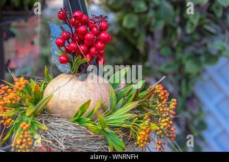 Composition d'automne avec du potiron, fleurs et fruits rouges. Banque D'Images
