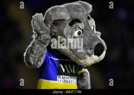 6 septembre 2019 ; stade Halliwell Jones, Warrington, Lancashire, Angleterre ; Betfred Super League Rugby, Warrington Wolves contre Wakefield Trinity ; Les Warrington Wolves mascot, Wolfie, encourage l'accueil de supports à faire plus de bruit - éditorial uniquement. Banque D'Images