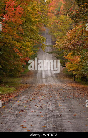 Routes de campagne dur passé coloré sans fin au cours de l'automne les feuilles d'automne du temps dans la Nouvelle Angleterre. Les feuilles changent de couleur la trame des chemins de terre ; leaf peeping Banque D'Images