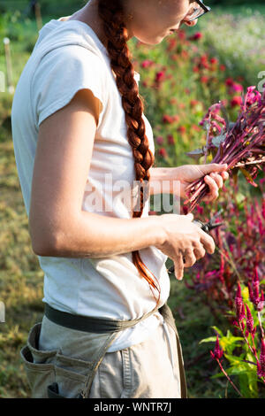 Les jeunes agriculteurs de sexe féminin avec une longue tresse rouge coupe fleurs colorées Banque D'Images