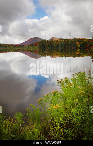 Automne couleurs reflètent les étangs et rivières pendant les moments lorgnant dans la Nouvelle Angleterre. Tournantes ; laisse le temps d'automne. New Hampshire Vermont Adirondack Banque D'Images