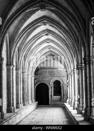 De belles arcades entourant le cloître de St Trophime à Arles, France. Banque D'Images
