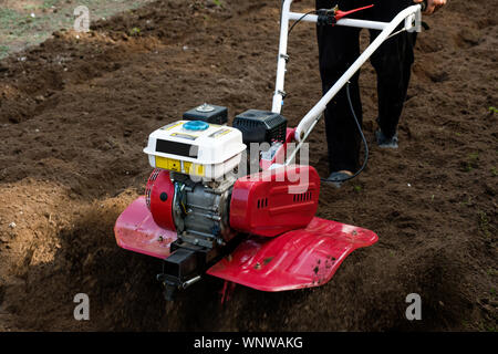 Homme travaillant dans le jardin avec jardin machine à timon. Timon le jardin de travailler, Close up Banque D'Images