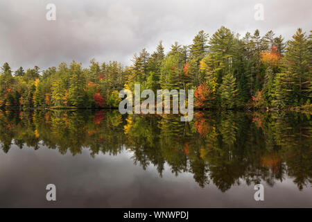 Automne couleurs reflètent les étangs et rivières pendant les moments lorgnant dans la Nouvelle Angleterre. Tournantes ; laisse le temps d'automne. New Hampshire Vermont Adirondack Banque D'Images