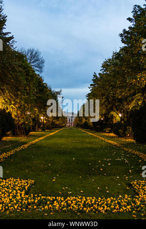 Scène d'automne sur une ruelle à parc Cismigiu à Bucarest avec des feuilles sur le terrain Banque D'Images