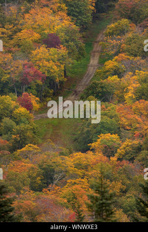 Routes de campagne dur passé coloré sans fin au cours de l'automne les feuilles d'automne du temps dans la Nouvelle Angleterre. Les feuilles changent de couleur la trame des chemins de terre ; leaf peeping Banque D'Images