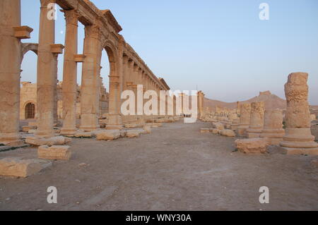Ruines de Palmyra (Tadmor) Banque D'Images