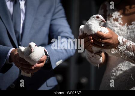 Hanovre, Allemagne. 06 Sep, 2019. Un couple de noce organise deux pigeons blancs dans leurs mains. La ville de Hanovre sera exceptionnellement ouvert au greffe un lundi pour la date 9.9.2019, qui est populaire auprès des couples suite nuptiale. Du lundi sont habituellement pas marié à Hanovre, mais le 9 septembre 14 les couples sont autorisés à se marier il y a au cours d'une cérémonie civile, comme la ville a annoncé. Credit : Sina Schuldt/dpa/Alamy Live News Banque D'Images