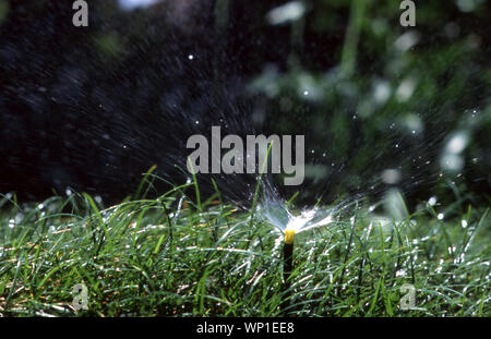 CLOSE-UP D'UN SYSTÈME D'ARROSAGE DE JARDIN (d'exploitation FONCTIONNE SUR MINUTERIE). Banque D'Images