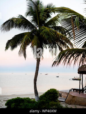 Avant le lever du soleil sur une plage de Madagascar avec cocotier et bateaux de pêche. Près de Tulear, côte sud-ouest Banque D'Images