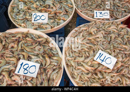 Variété de crevettes pour la vente au marché thaïlandais Banque D'Images