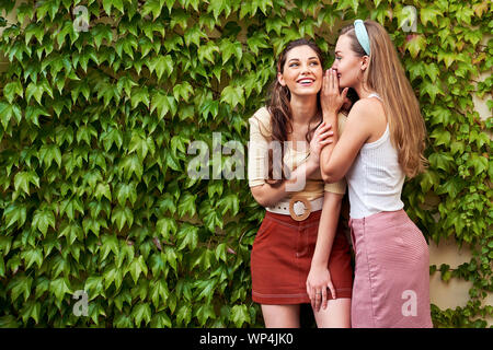 Les jeunes belles filles vêtues de style vintage retro profiter de la vieille ville européenne de vie sur fond de mur de vigne verte Banque D'Images