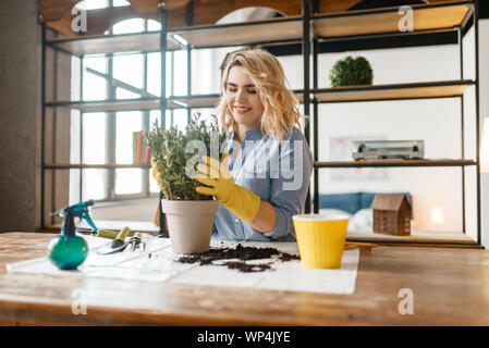 Jeune femme change le sol des plantes accueil Banque D'Images