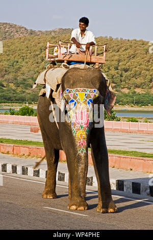 Le Rajasthan, Inde, 02 Septembre 2019 Les éléphants il suffit de marcher dans la rue au Rajasthan Jaipur en Inde Banque D'Images