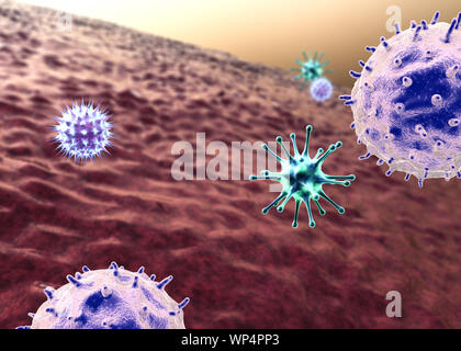 Et les lymphocytes virus Banque D'Images