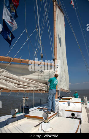 Joshua est une goélette en bois classique 72' la voile sur la baie de Mobile, Alabama, sous le commandement du Capitaine Carol Bramblett. Jason Conyers se replie les voiles une fois que le navire est amarré Banque D'Images