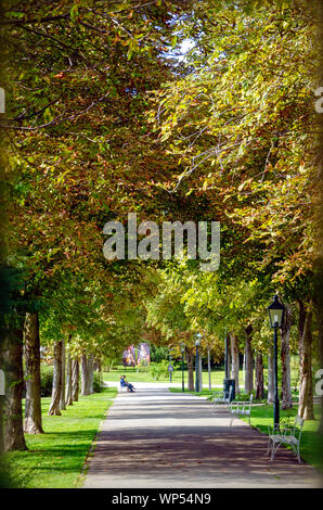 Allée des marronniers cheval couleur autumnally Banque D'Images