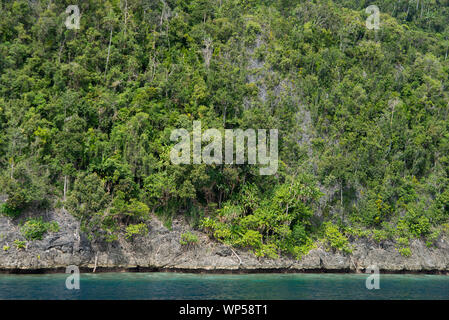 La forêt sur l'île calcaire pinnacle, Raja Ampat, Papouasie occidentale, en Indonésie Banque D'Images