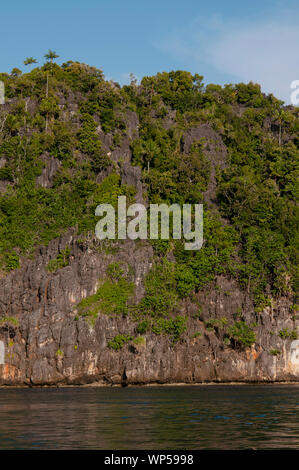 Pinnacle calcaire, l'île de Raja Ampat, Papouasie occidentale, en Indonésie Banque D'Images