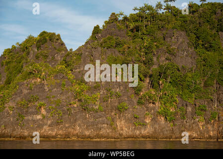 Pinnacle calcaire, l'île de Raja Ampat, Papouasie occidentale, en Indonésie Banque D'Images