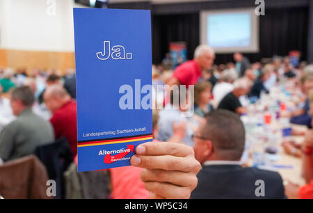 Septembre 07, 2019 Weißandt Gölzau-Saxe-anhalt, : Un délégué soulève sa carte de vote à l'État partie de la conférence AfD Saxe-anhalt dans une salle polyvalente. La question centrale est l'élection d'un nouvel état de la cour d'arbitrage. Photo : Peter Endig/dpa-Zentralbild/dpa Banque D'Images