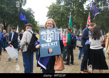 London UK. 7 septembre 2019. Les manifestants restent Pro campainging de révoquer l'article 50 et arrêter Brexit avec signes de protestation au Parlement Square Crédit : amer ghazzal/Alamy Live News Banque D'Images