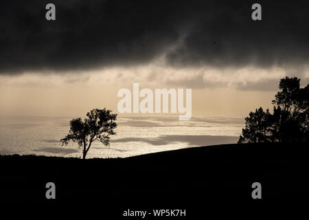 Arbre silhouette étonnante dans un fort contraste noir tôt le matin avec la lumière du soleil reflétant sur l'eau de l'océan Atlantique dans le contexte lors de la Banque D'Images