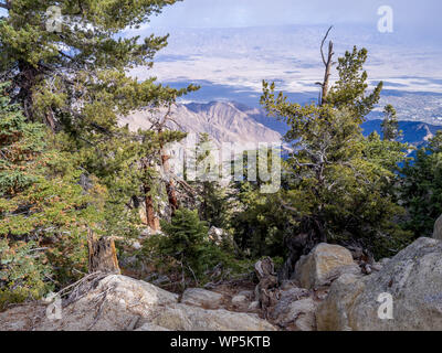 Voir à station de montagne le Tramway Aérien de Palm Springs le 15 novembre 2015 à Palm Springs. C'est la plus grande de l'are en rotation Banque D'Images