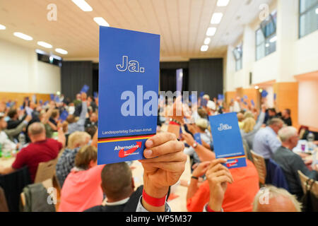 Weißandt Gölzau-, Allemagne. Septembre 07, 2019 Weißandt Gölzau-Saxe-anhalt, : Un délégué soulève sa carte de vote à l'État partie de la conférence AfD Saxe-anhalt dans une salle polyvalente. La question centrale est l'élection d'un nouvel état de la cour d'arbitrage. Photo : Peter Endig/dpa-Zentralbild/dpa dpa : Crédit photo alliance/Alamy Live News Banque D'Images