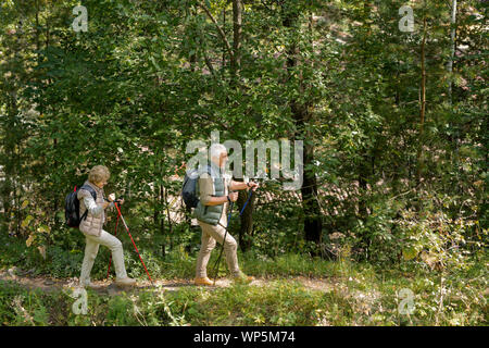 Senior couple in activewear marchant sur chemin forestier avec des bâtons de trekking Banque D'Images