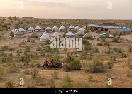 Deux touristes menée sur des chameaux autour du camp de Yourte à l'Nurataou Projet écotouristique près de la ville de Nurata en Ouzbékistan. Banque D'Images