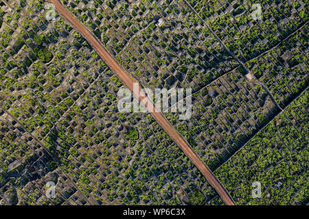 Image montrant l'antenne viticole typique (viticulture) Paysage de l'île de Pico à Criação Velha et Candelária, Madalena. Le modèle de parcelles ( Banque D'Images